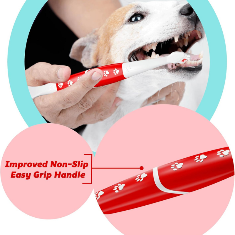 Pet Toothbrush for Dogs & Cats  Dual‑Head Soft Bristles