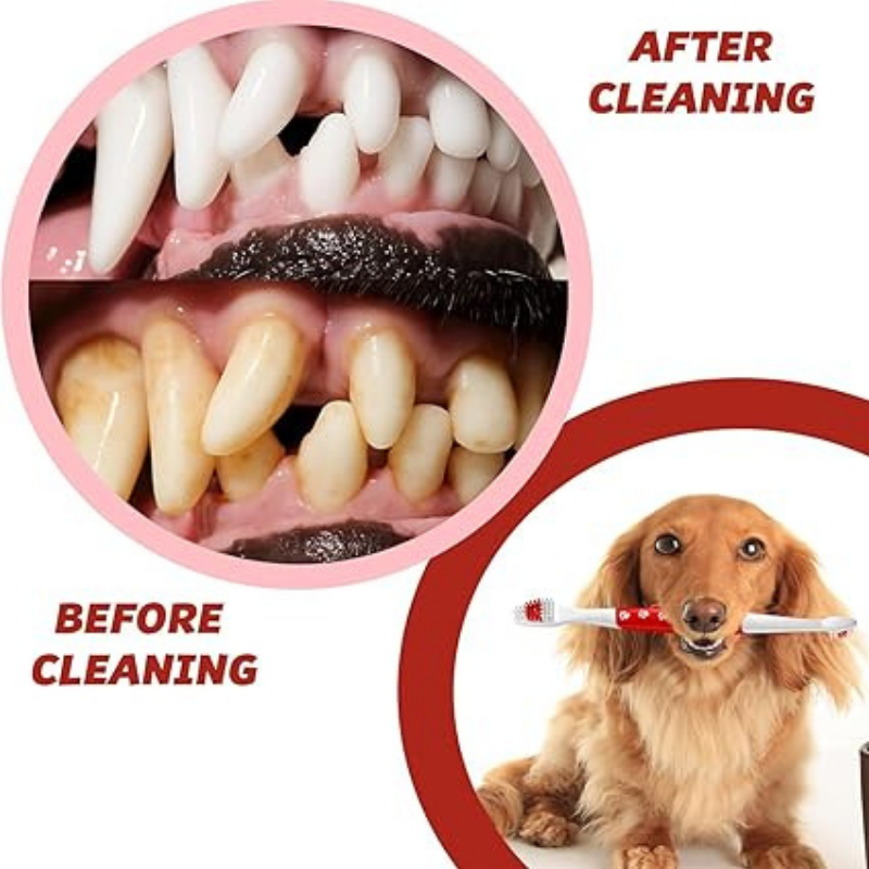 Pet Toothbrush for Dogs & Cats  Dual‑Head Soft Bristles